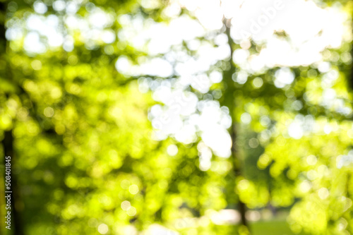 Blur park garden tree in nature background, blurry green bokeh light outdoor in