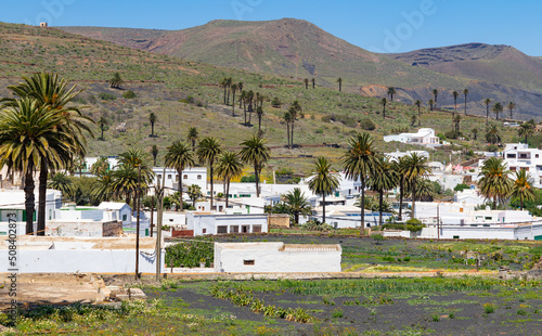 View to the village Haria on Lanzarote with typical white houses. Haria is known as the valley of a thousand palm trees photo