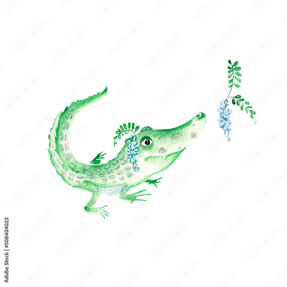 Obraz premium Adorable baby crocodile and acacia branch isolated on white background. Watercolor hand drawn illustration.