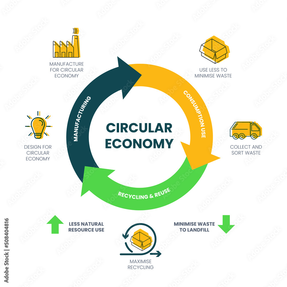 Naklejka The vector infographic diagram of the circular economy concept ...