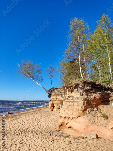 Veczemju Klintis, Veczemju Cliffs on Baltic Sea Near Tuja, Latvia. Beautiful Sea Shore With Limestone and Sand Caves. Calm, Relaxing, Meditation Nature. Concept of Romantic Evening and Holidays