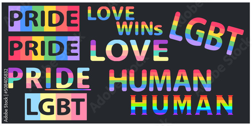 Group of rainbow pride words,LGBT,Human,Love wins, concert typography. Vector illustration. 