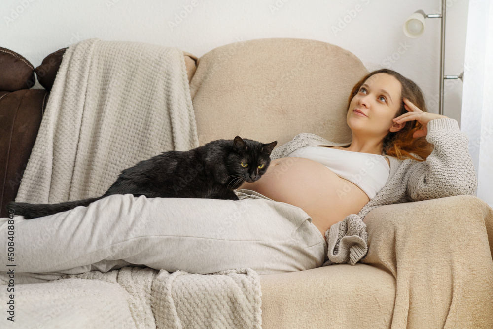 a pregnant woman with the cat at home. a pregnant woman with the cat at home.