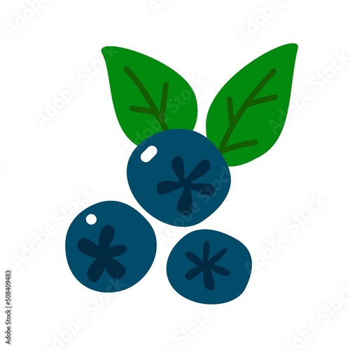 Aronia berry. Black chokeberry vector hand drawn illustration