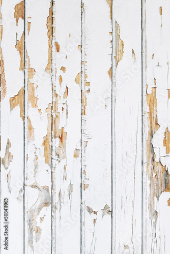 Canvas Print Old wood texture Weathered farmhouse wooden background