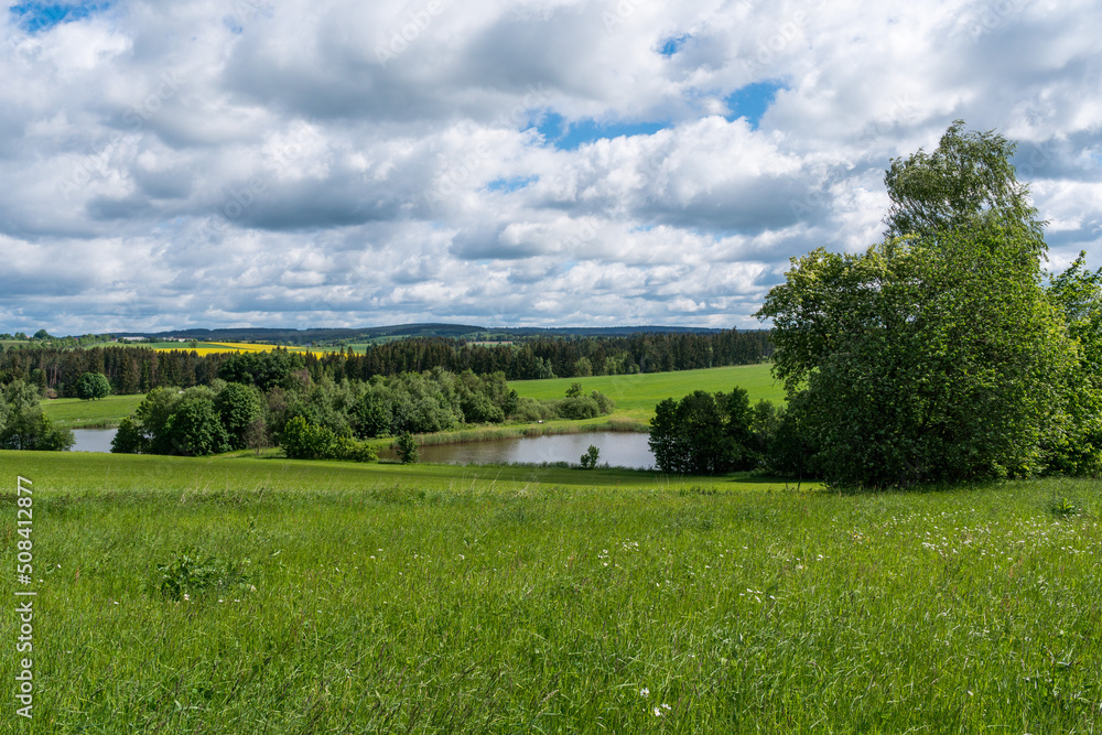 Czech highlands landscape with many forests, meadows, ponds and trees