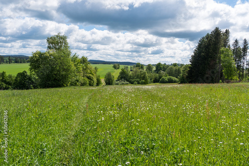 Czech highlands landscape with many forests, meadows, ponds and trees