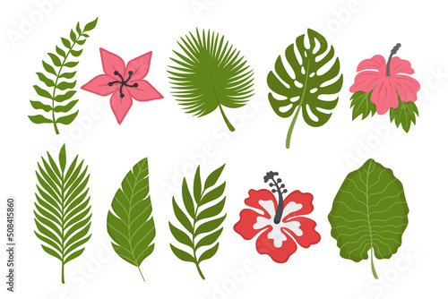 Tropical-botany-set