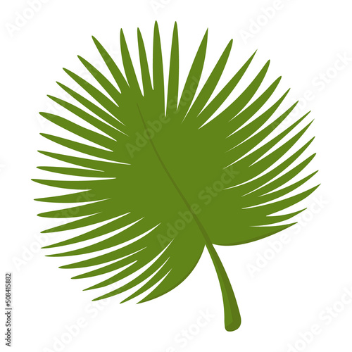 tropical-leaf