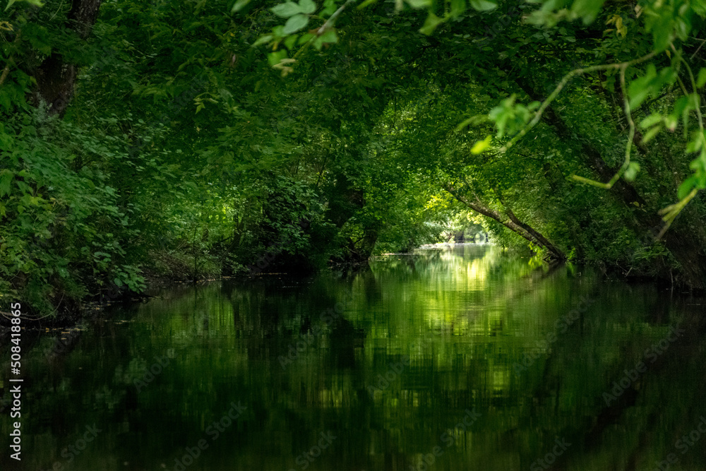 Canal sous tunnel d'arbre