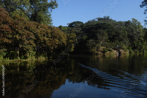 lake in the park