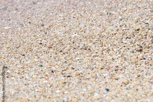 ビーチ｜濡れた砂浜