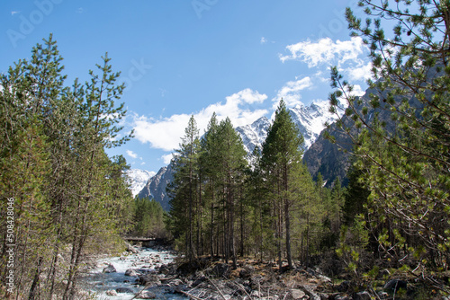 View of the bridge across the mountain river around the coniferous forest and on the background of the mountains with snow summer