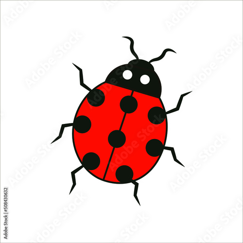 ladybug very cute insect vector illustration © Moiseieva 