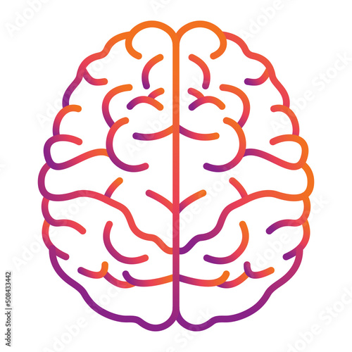 Brain Icon