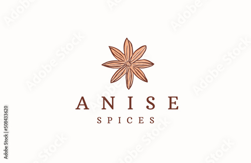 Star Anise logo icon design template flat vector