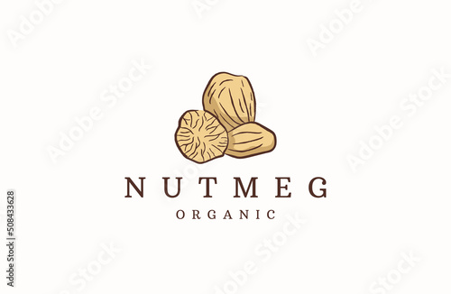 Nutmeg logo icon design template flat vector