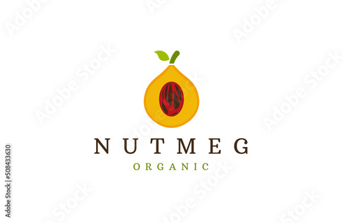 Nutmeg logo icon design template flat vector