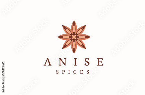 Star Anise logo icon design template flat vector