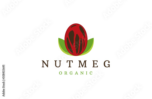 Nutmeg logo icon design template flat vector