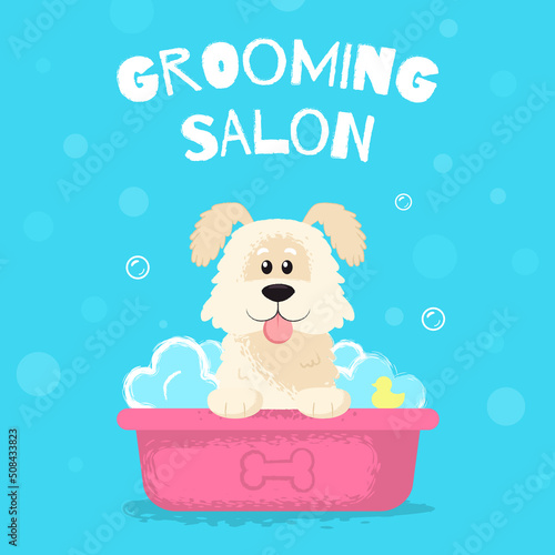 Grooming salon for dogs 