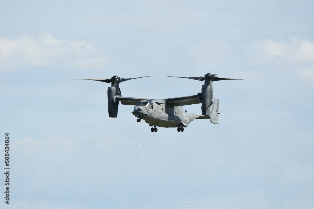 Fototapeta premium オスプレイ Osprey