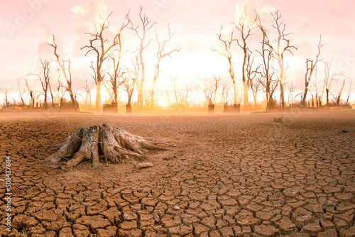 Print op canvas The concept of global warming and drought and poverty and food shortages