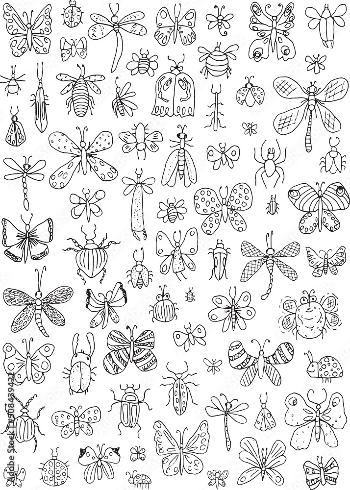 Vector outline group of different insects on a white background