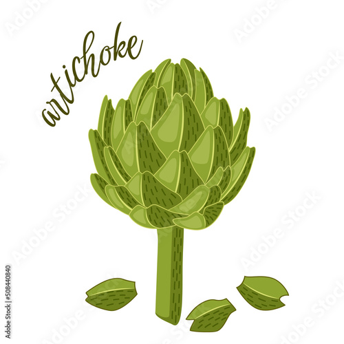 Isolated green artichoke flower heads. Food artichoke in flat style. Vector illustration on white background.