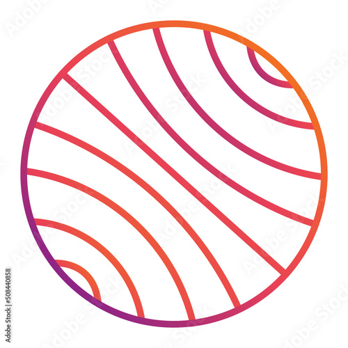 Gymnastic Ball Icon