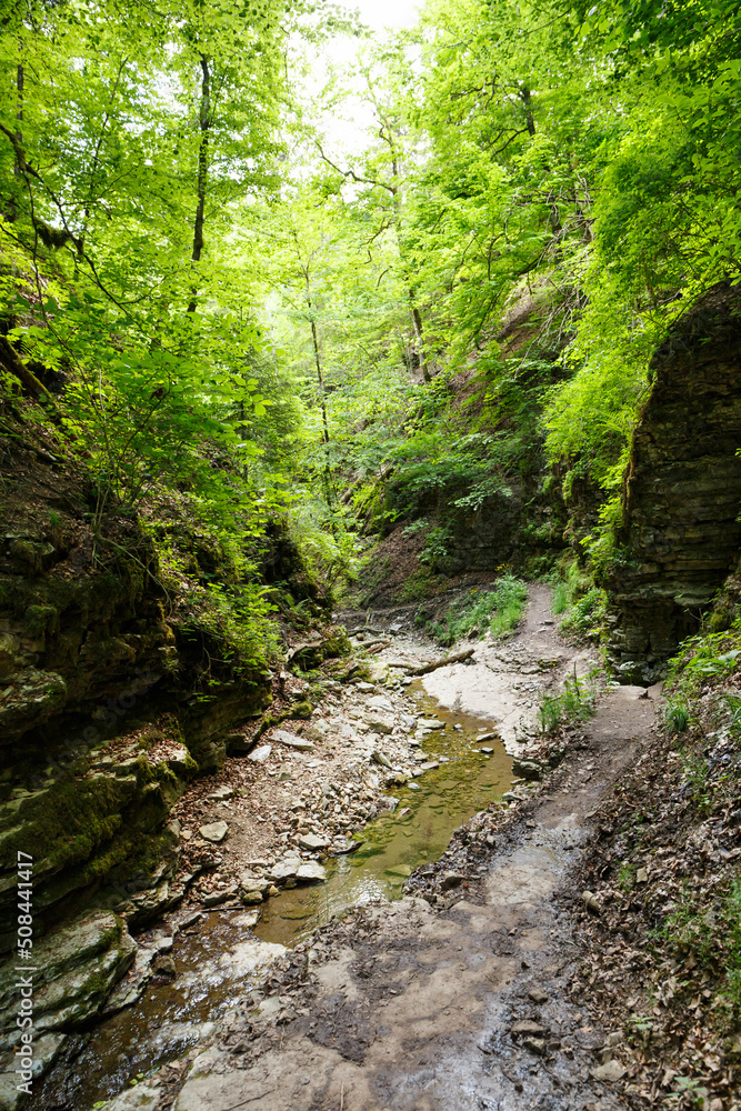 Fluss Tränkebach im Schwarzwald (Black Forest) Fluss Tränkebach im Schwarzwald (Black Forest)