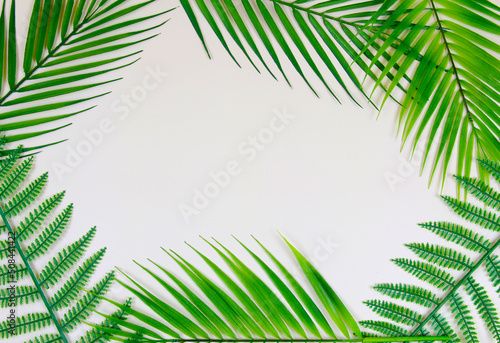 pink palm leaves background-1