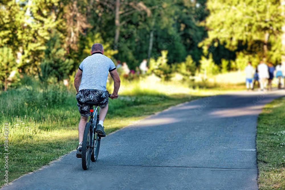 Fototapeta premium A man riding a bicycle in a park in summer in the sunny morning.