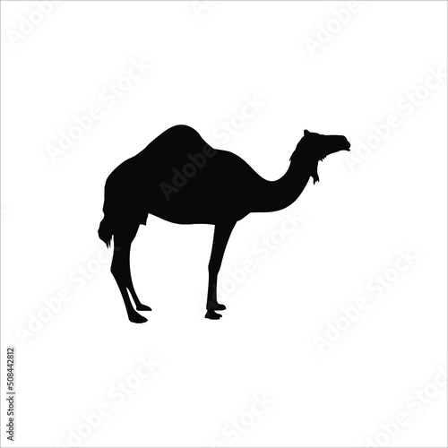 Camel Silhouette for Logo or Graphic Design Element. Vector Illustration