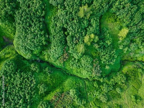 Green hills with trees and fresh green grass. Aerial top down view. Abstract summer nature background. Kamchatka, Russia