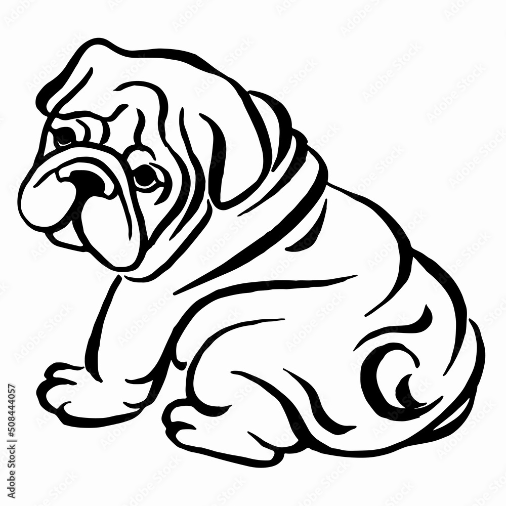 French bulldog puppy. Funny french bulldog puppy sitting and looking forward. Linear drawing. black and white hand drawn cartoon portrait vector illustration. French bulldog puppy. Funny french bulldog puppy sitting and looking forward. Linear drawing. black and white hand drawn cartoon portrait vector illustration.