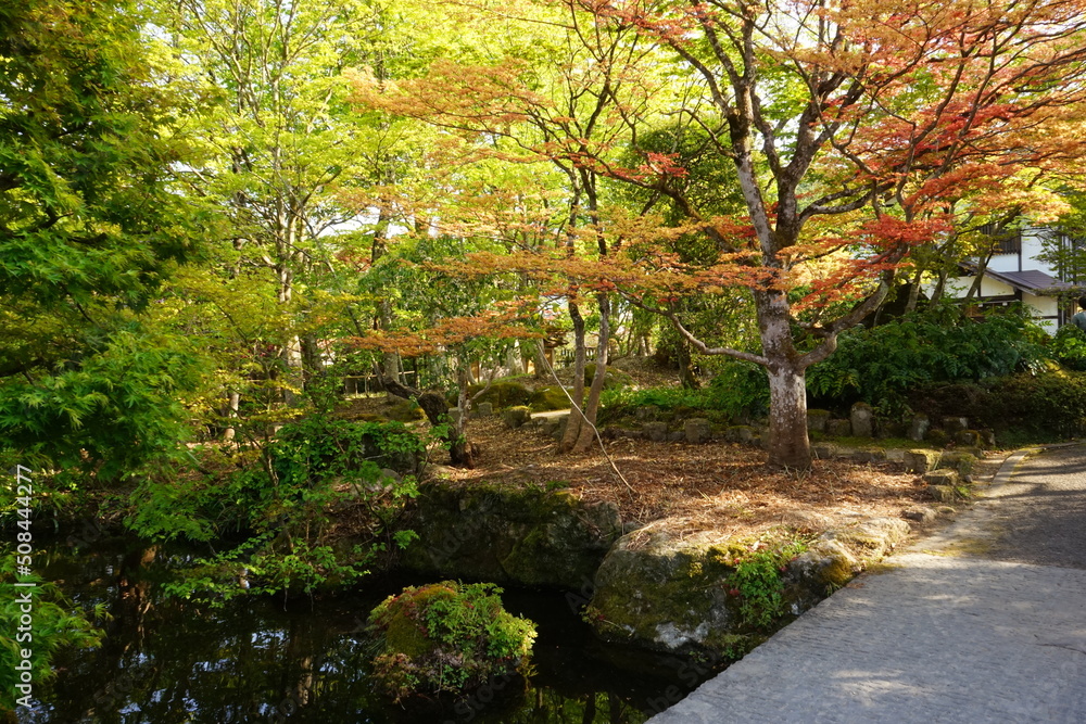Japanese Garden and Autumn Foliage at Jogi Nyorai Saihoji Temple in Miyagi, Japan - 日本 宮城県 仙台 定義山 定義如来西方寺 日本庭園 もみじ
