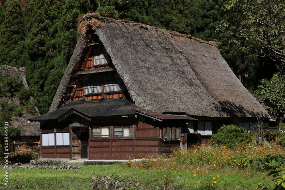 菅沼集落の家屋