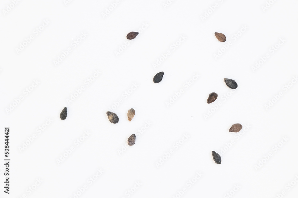 a few small black sesame seeds scattered on a white background. top view, organic food a few small black sesame seeds scattered on a white background. top view, organic food
