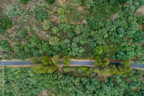 drone aerial view of a mountain road among oak trees