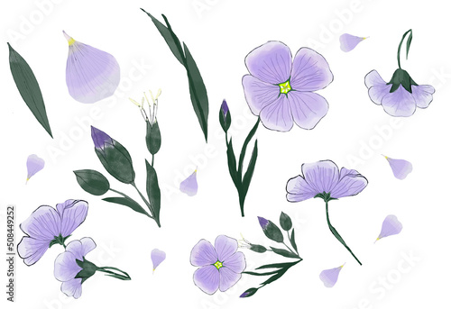 flax flowers 