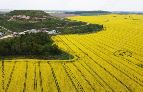 Topview on yellow rapeseed agro fields