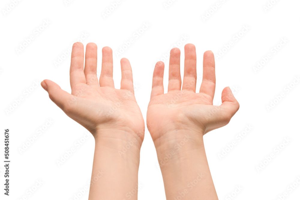 Woman hand isolated on a white background. Woman hand isolated on a white background.