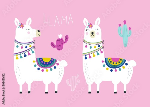 Set with cute llama. Vector illustrations