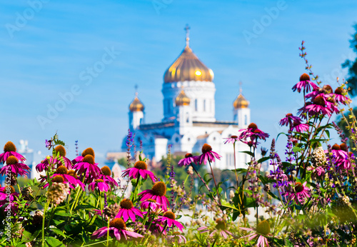 Beautiful summer flowers and the building of the Cathedral of Christ the Saviour on the background. Sunny morning in Moscow. Russia
