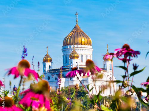Beautiful summer flowers and the building of the Cathedral of Christ the Saviour on the background. Sunny morning in Moscow. Russia