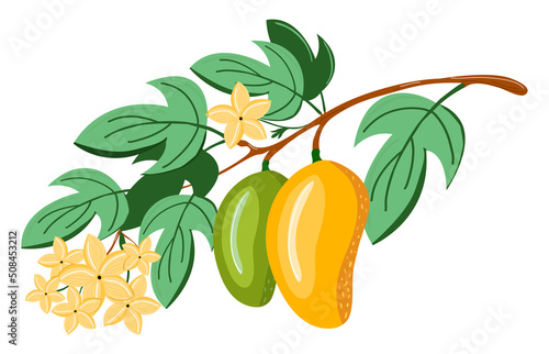 Vector illustration with birds on a pomegranate branch with fruits and flowers isolated on white. Can be used for poster, packing, fabric, invitation or scrapbook