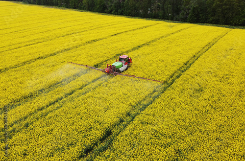 Aerial view of rapeseed yellow fields and tractor agro combine. Agricultural machinery. Cultivation and harvesting