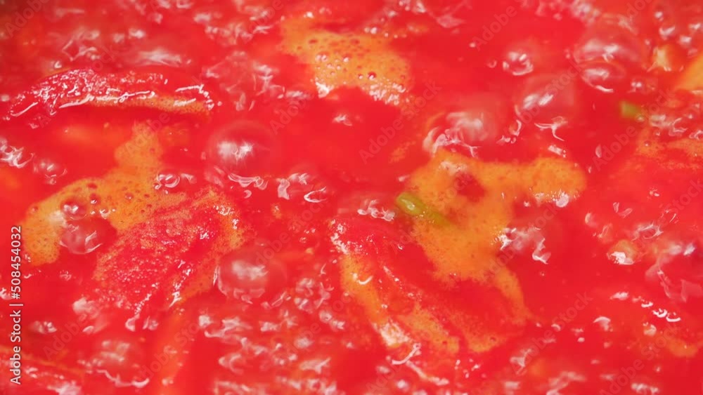Special Chinese Food Stewed Mackerel in Tomato Sauce Special Chinese Food Stewed Mackerel in Tomato Sauce