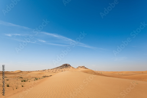 Sand Dunes landscape with Mountains in the background and with blue sky with large copy space © DGPhotography